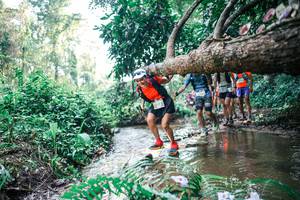 BIB: 
                            <button type="button" onclick="openModal(25458392)" class="btn btn-primary btn-sm float-right btn-popup" data-toggle="modal" data-target=".modal-high-quality">
                        <i class="fas fa-shopping-cart"></i> Add to Cart
                    </button>
                                            <button type="button" onclick="isThisMe(25458392, true)" class="btn btn-success btn-sm float-right btn-popup btn-isme hidden" data-toggle="tooltip" data-placement="bottom" title="นี่คือรูปของคุณใช่ไหม คลิกที่นี่เพื่อเอาเข้าอัลบั้ม">
                        <i class="fas fa-plus"></i> Add to album
                    </button>
                    <button type="button" onclick="isThisMe(25458392, false)" class="btn btn-warning btn-sm float-right btn-popup btn-isnotme hidden">
                        <i class="fas fa-ban"></i> Remove from album
                    </button>